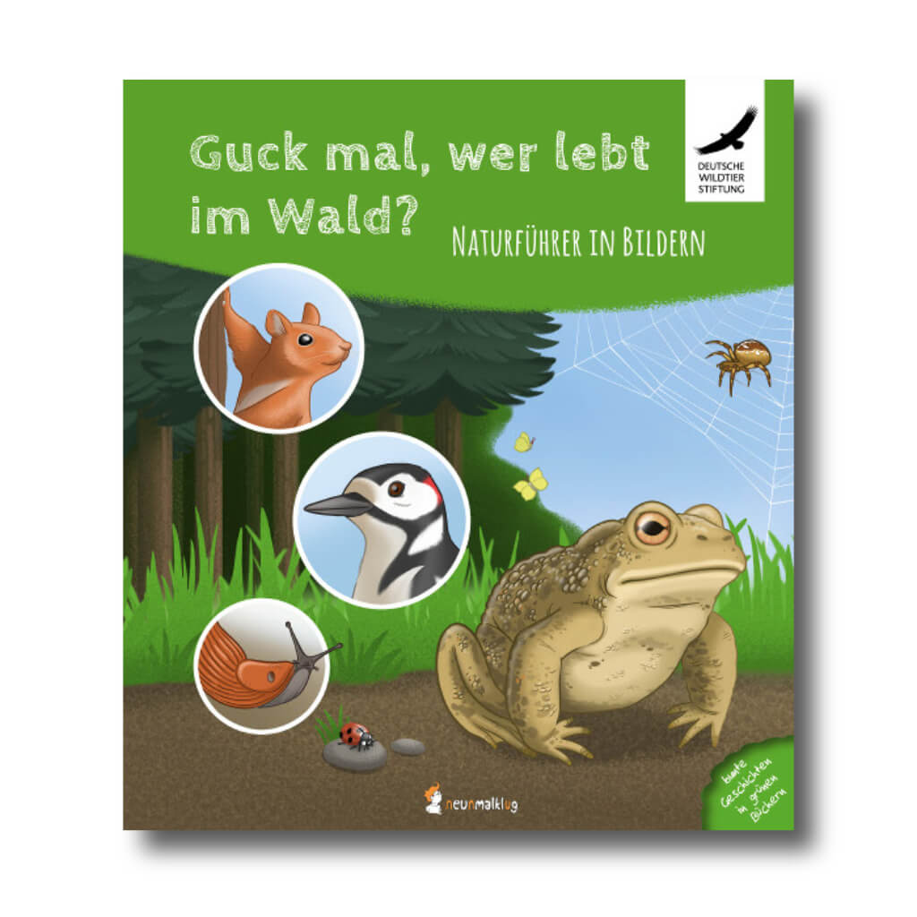 neunmalklug – Bilderbuch Guck mal, wer lebt im Wald? – Bilderbuch für Kinder bei Timardo online kaufen!