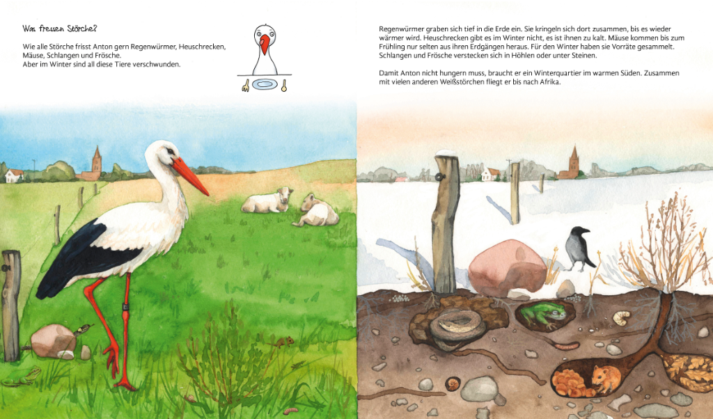 neunmalklug – Bilderbuch Was macht der Storch im Winter? – Bilderbuch für Kinder bei Timardo online kaufen!
