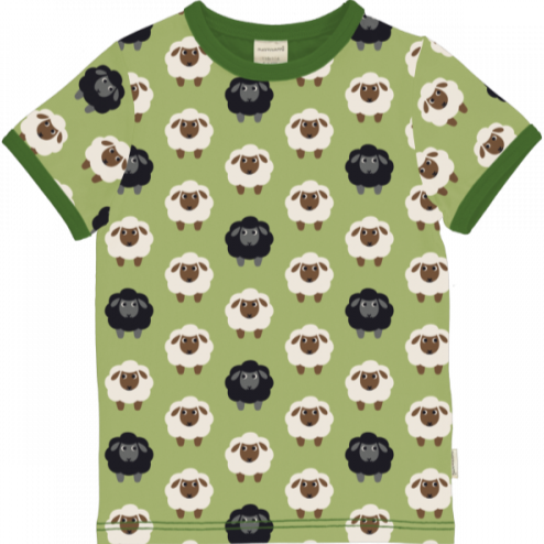 Maxomorra - Top SS Sheep - grünes Baumwoll-Shirt mit dem Schaf-Motiv bei Timardo online kaufen!